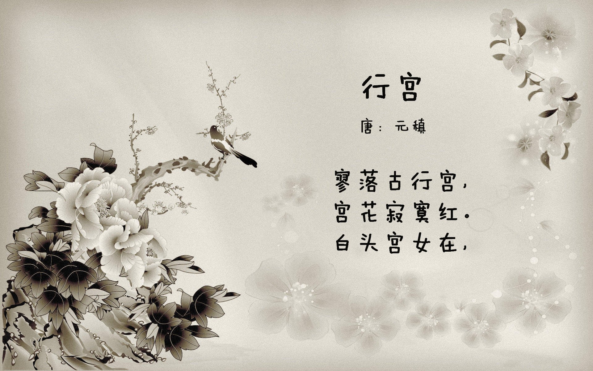 北京首钢球队替补球员贡献提升，北京首钢全部球员