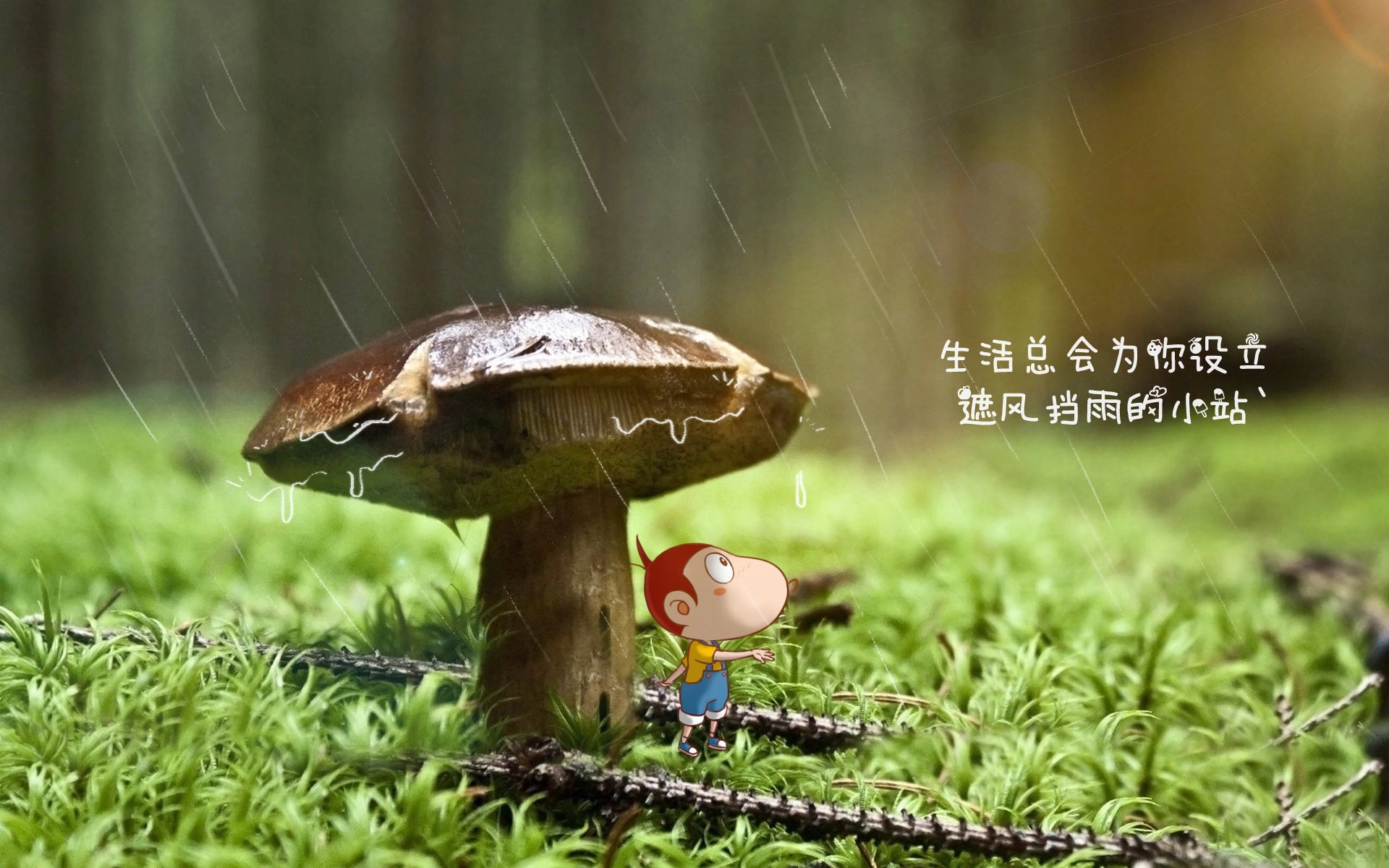 开云网页版-波兰险胜苏格兰，晋级淘汰赛资格在望，波兰落选赛